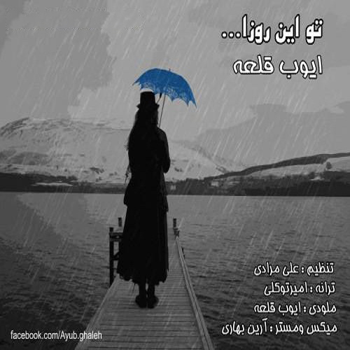 ایوب قلعه تو این روزا
